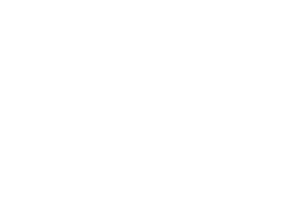 Great North Swim